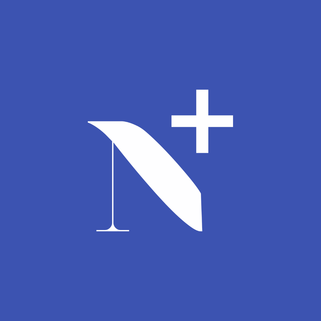 Programa de mentoría N+
